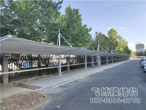 潍坊市寒亭区康华生物院内